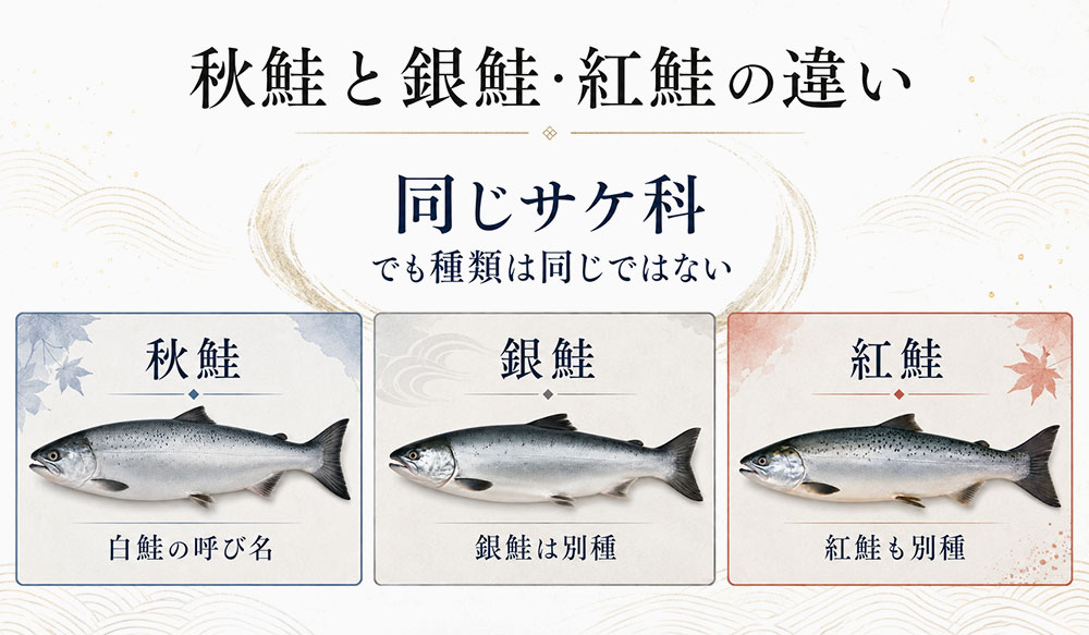 秋鮭と銀鮭・紅鮭の違い