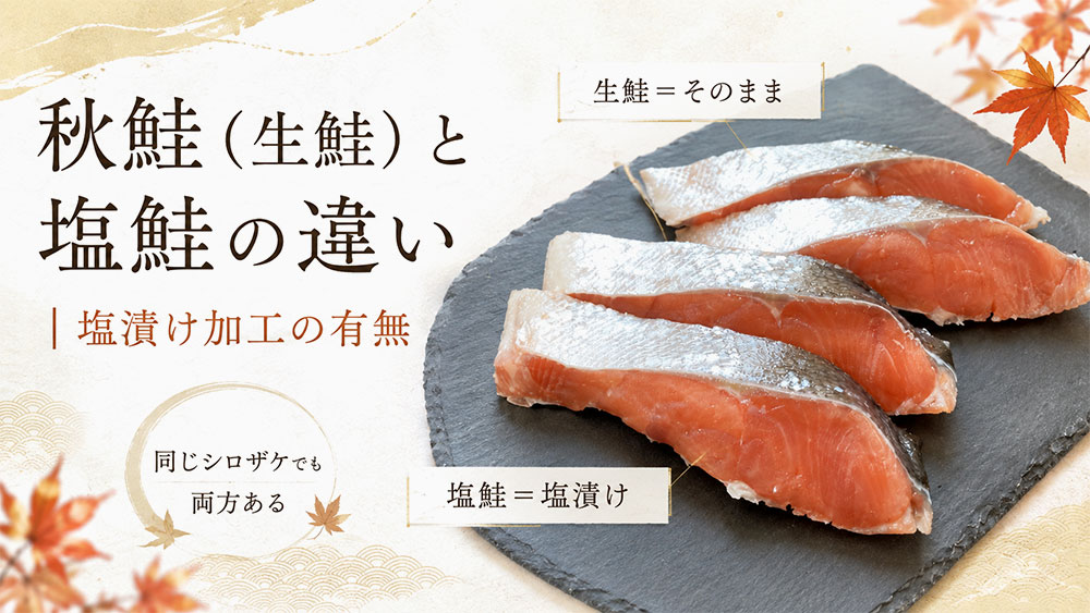 秋鮭(生鮭)と塩鮭の違い|塩漬け加工の有無