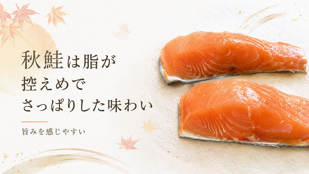 秋鮭は脂が控えめでさっぱりした味わい