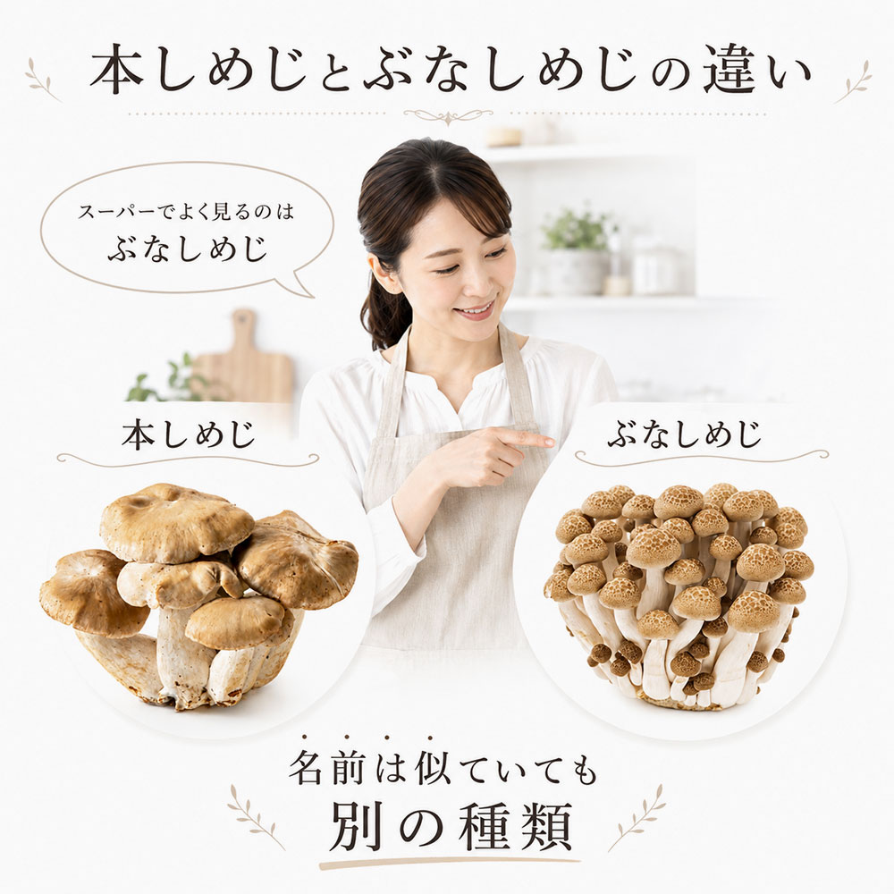 しめじ（本しめじ）とぶなしめじの違いをやさしく解説
