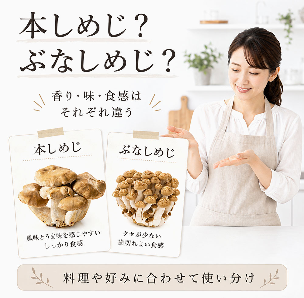 しめじ（本しめじ）とぶなしめじの香り・味・食感の違い