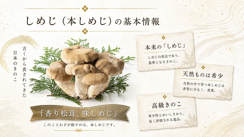しめじ（本しめじ）の基本情報