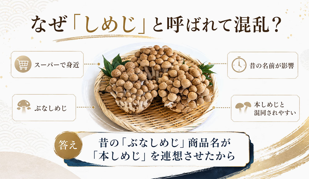 なぜ「しめじ」と呼ばれて混乱？