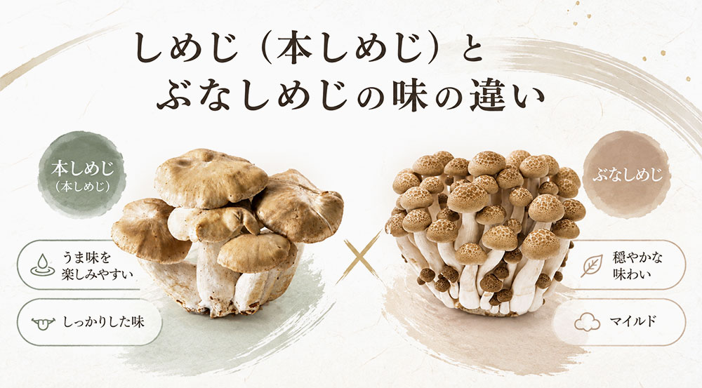 しめじ（本しめじ）とぶなしめじの味の違い