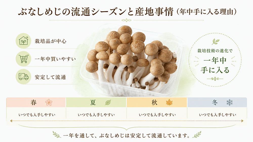 ぶなしめじの流通シーズンと産地事情（年中手に入る理由）