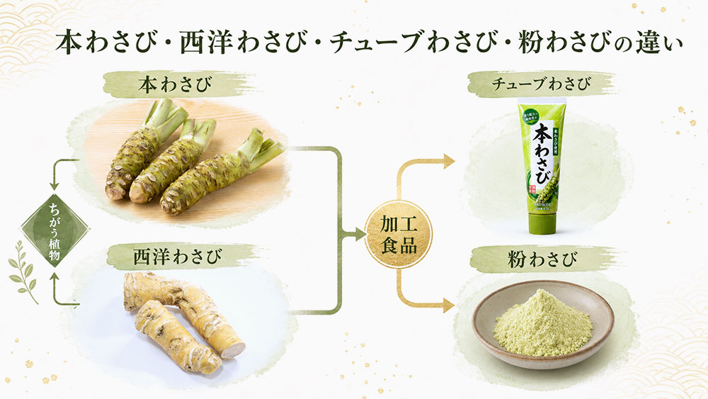 本わさび・西洋わさび・チューブわさび・粉わさびの違い