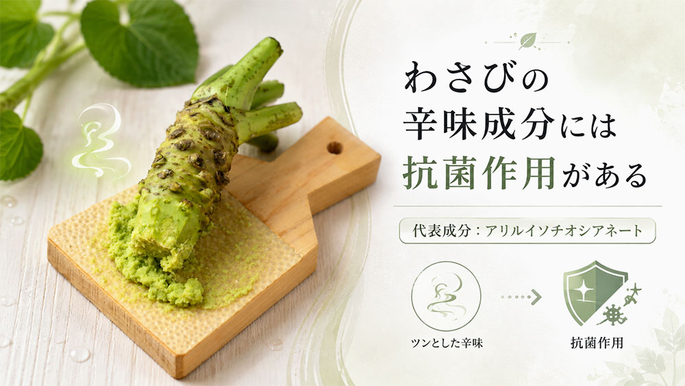 わさびの辛味成分には抗菌作用がある