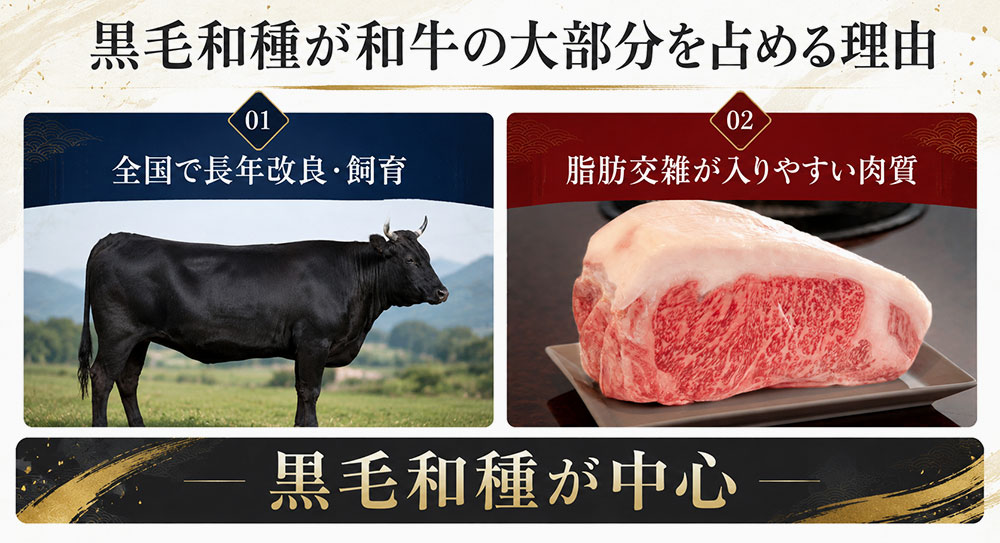 黒毛和種が和牛の大部分を占める理由