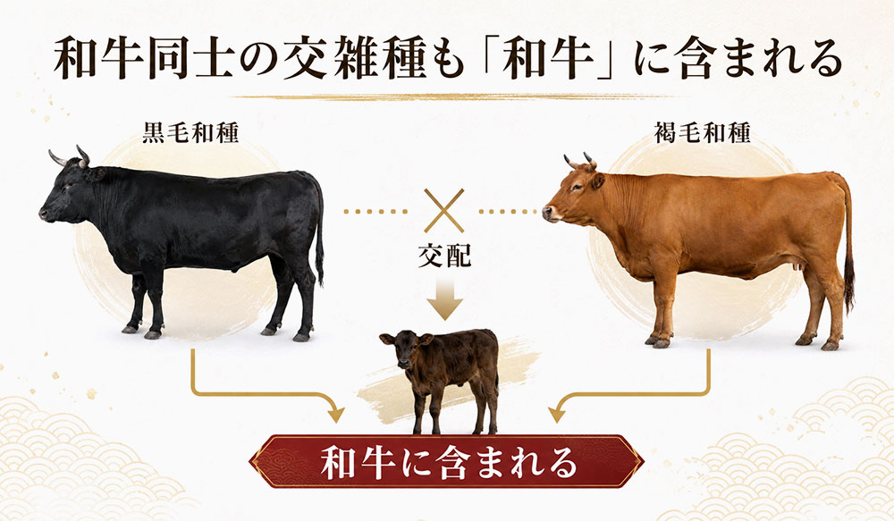 和牛同士の交雑種も「和牛」に含まれる