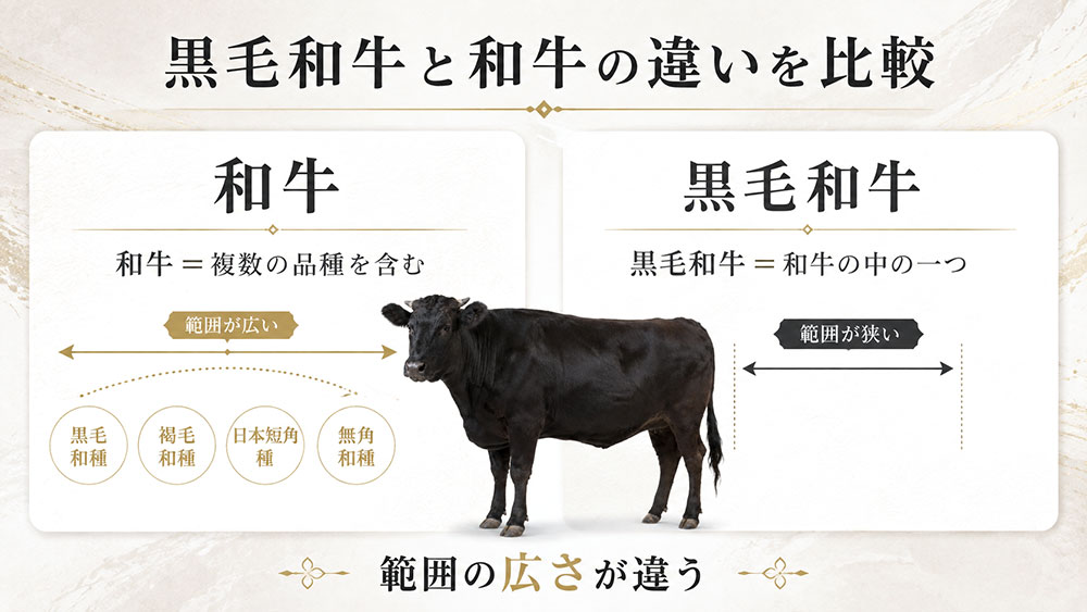 黒毛和牛と和牛の違いを比較