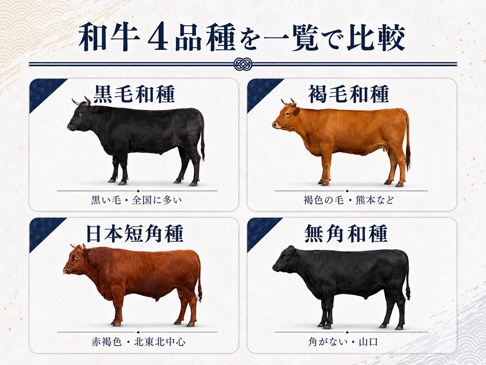 和牛4品種を一覧で比較