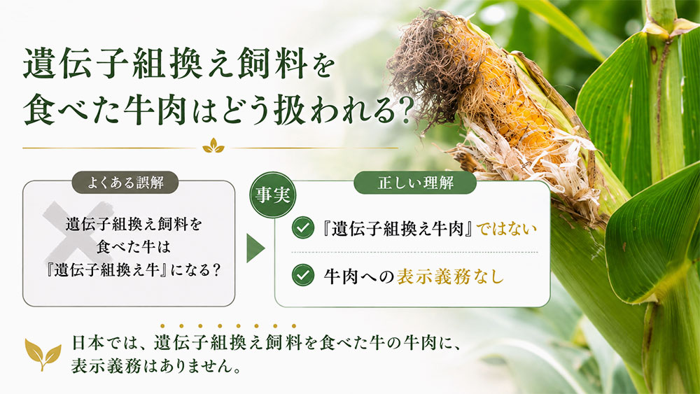 遺伝子組換え飼料を食べた牛肉はどう扱われる？