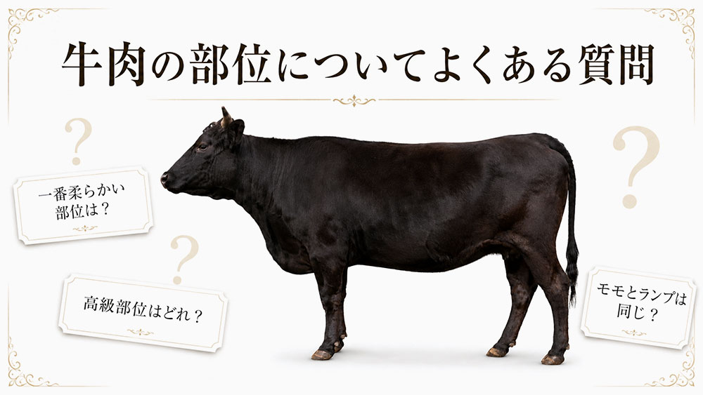 牛肉の部位についてよくある質問