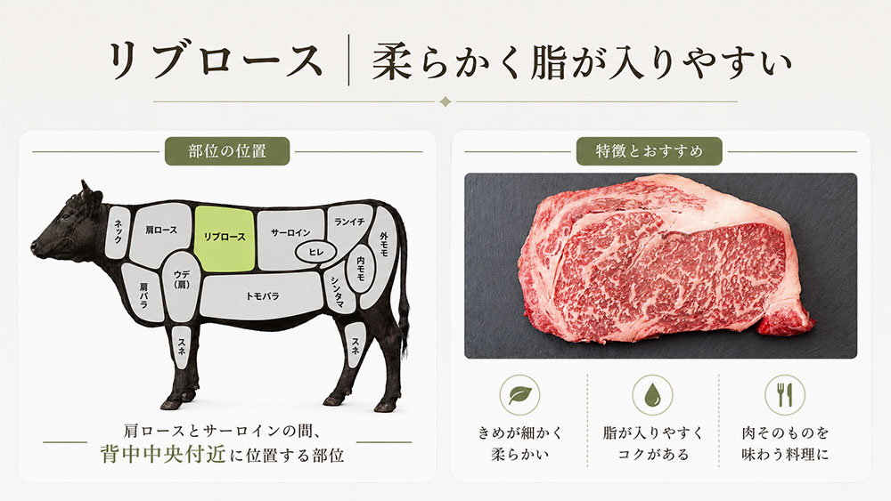 リブロース｜柔らかく脂が入りやすい
