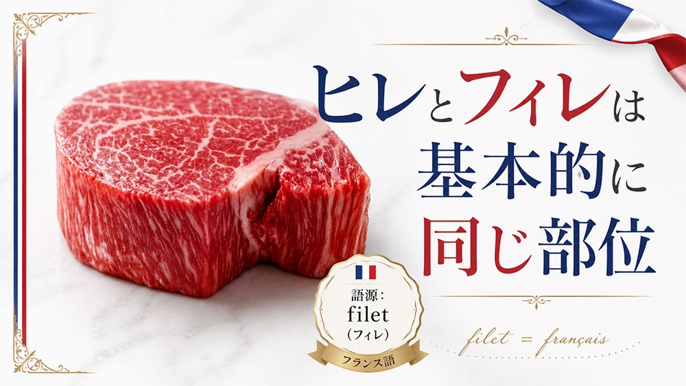 ヒレとフィレは基本的に同じ部位