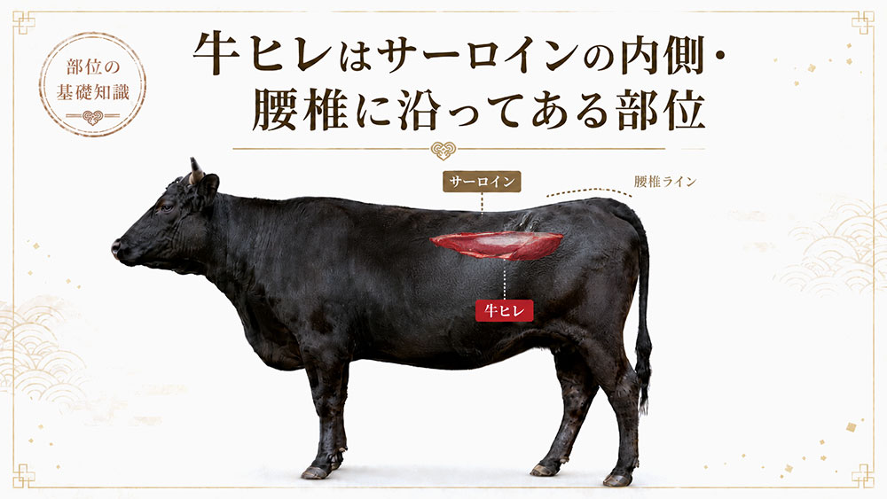 牛ヒレはサーロインの内側・腰椎に沿ってある部位