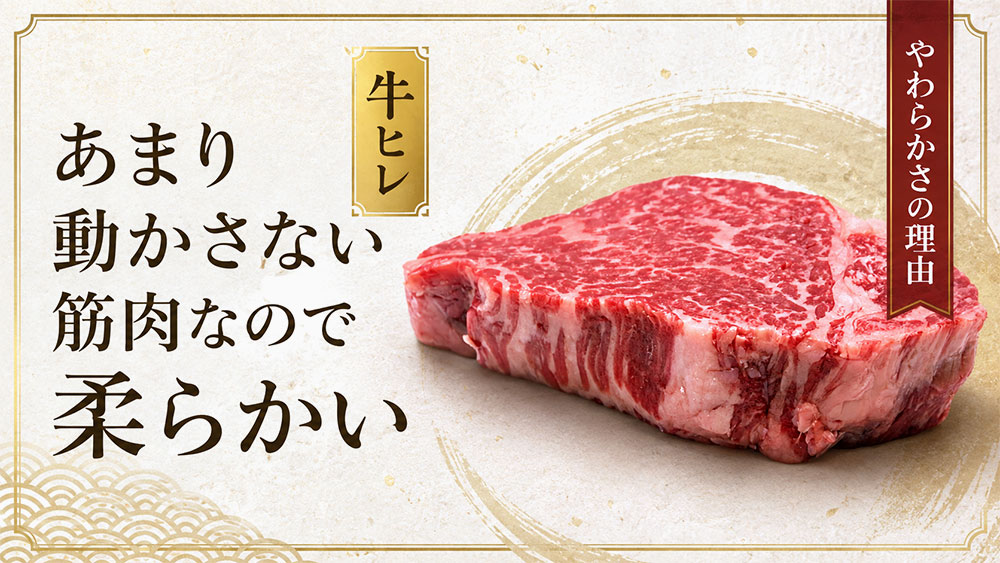 あまり動かさない筋肉なので柔らかい