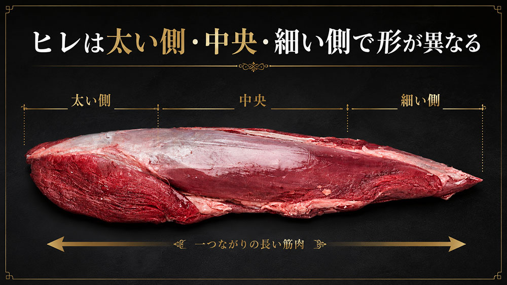 ヒレは太い側・中央・細い側で形が異なる