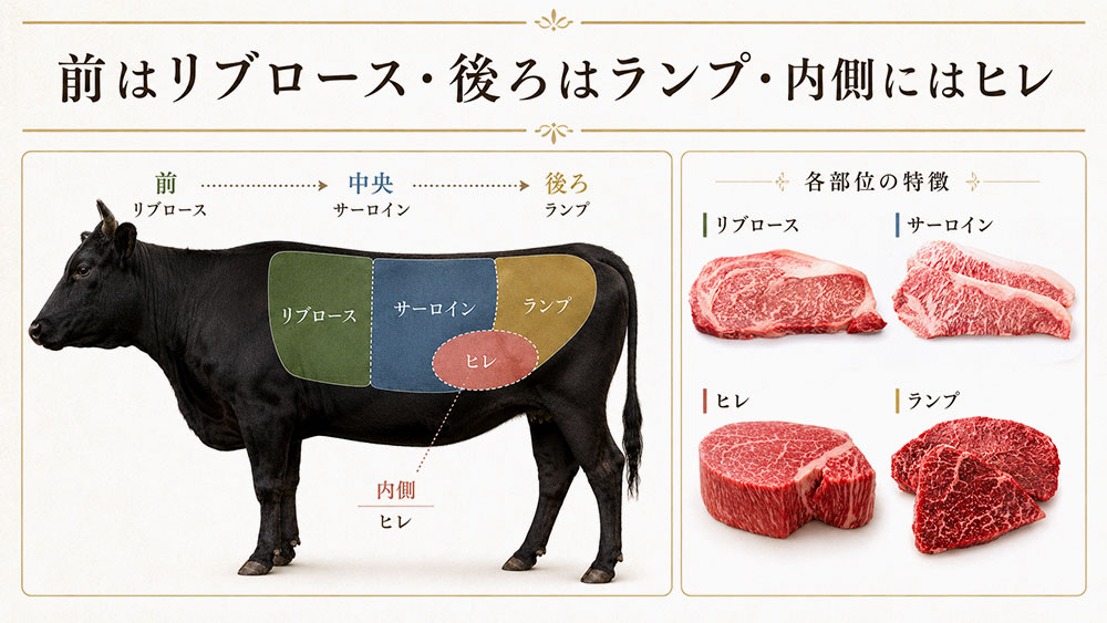 前はリブロース・後ろはランプ・内側にはヒレ