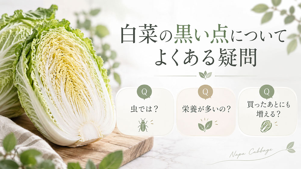 白菜の黒い点についてよくある疑問