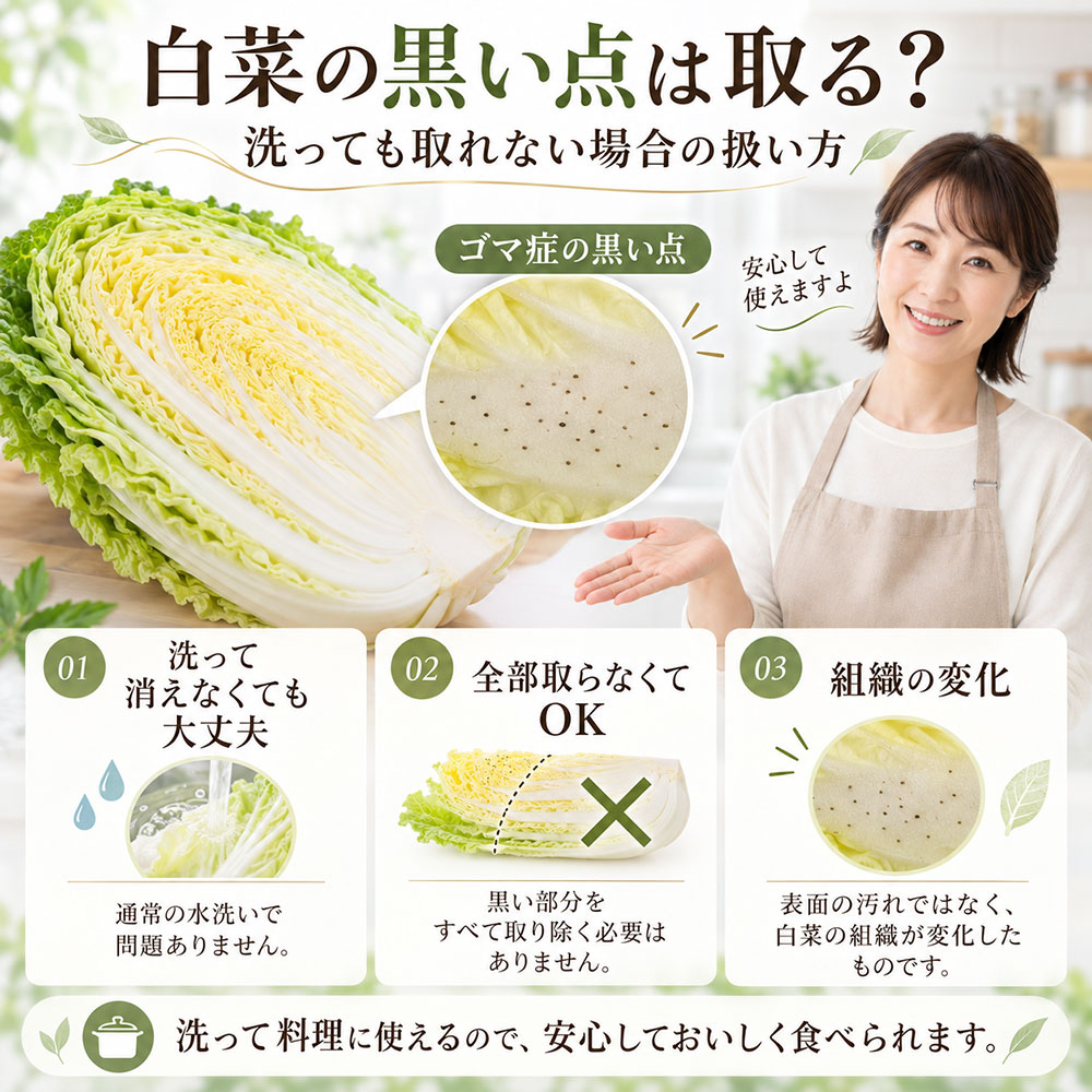 白菜の黒い点は取る?洗っても取れない場合の扱い方