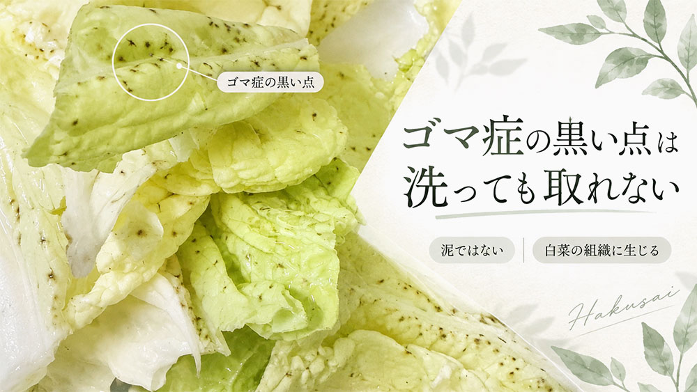 ゴマ症の黒い点は洗っても取れない