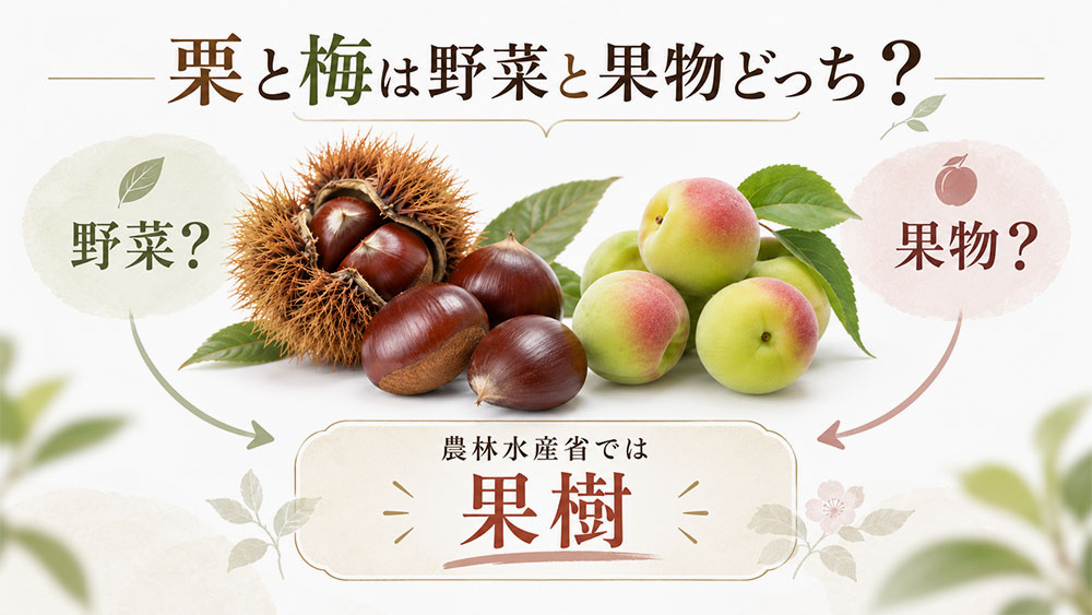 栗と梅は野菜と果物どっち？