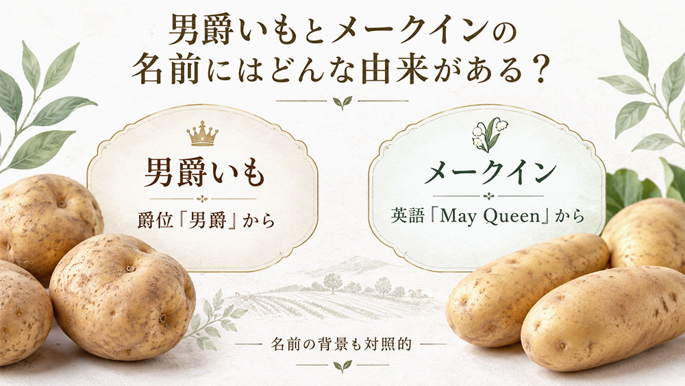 男爵いもとメークインの名前にはどんな由来がある?