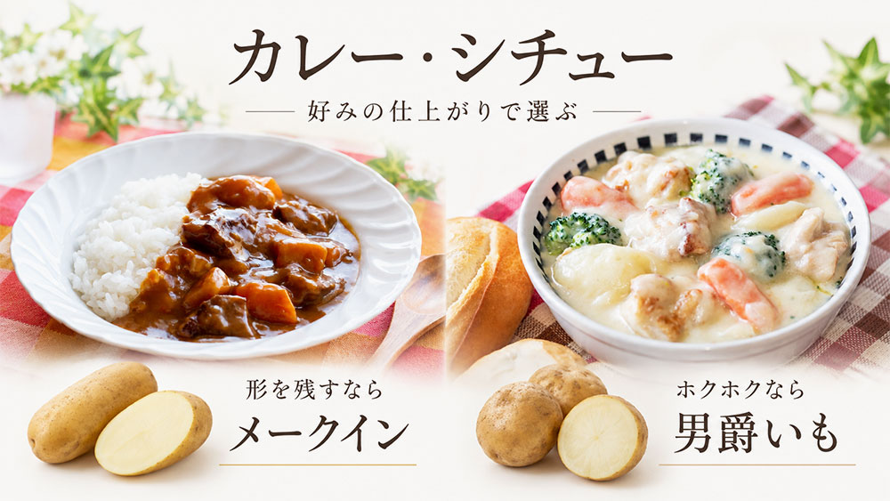 カレー・シチューは「形を残すか、ホクホクさせるか」で選ぶ