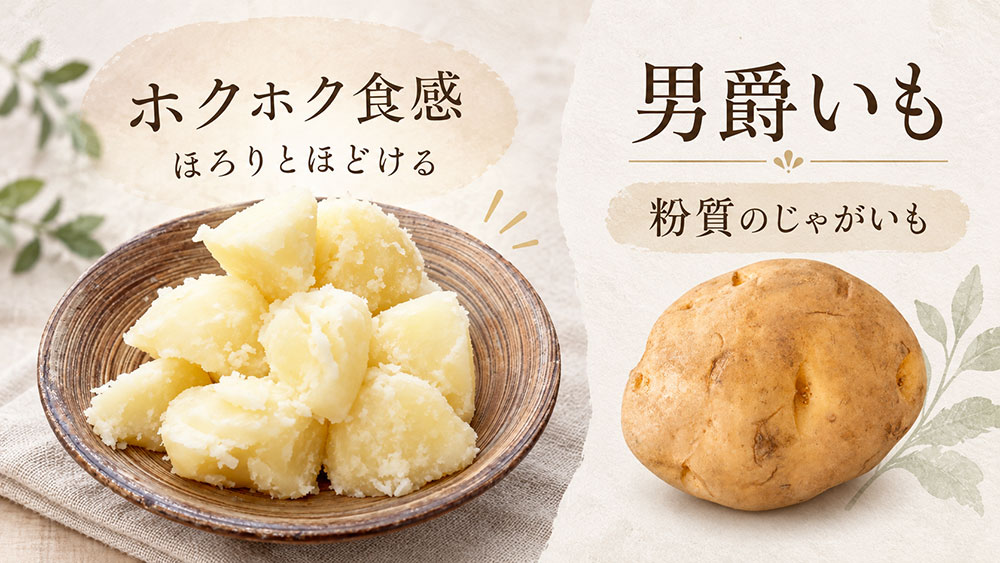 男爵いもはホクホクほろりとした「粉質」タイプ