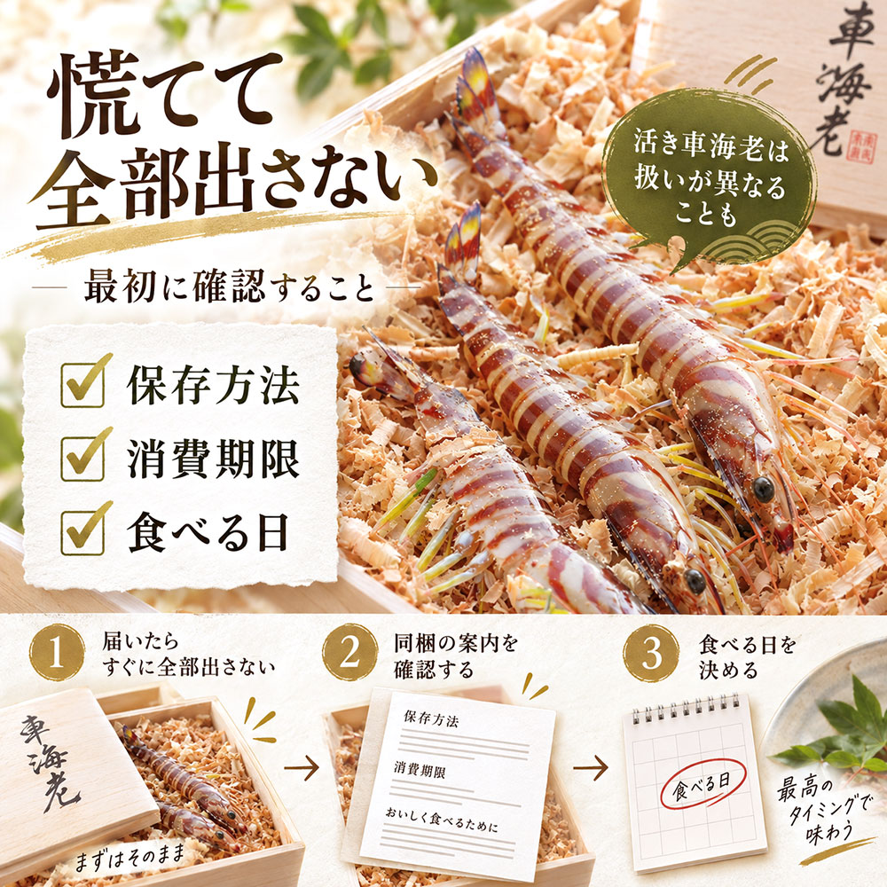 おがくず入りの車海老が届いたらどうする？まず確認したいこと