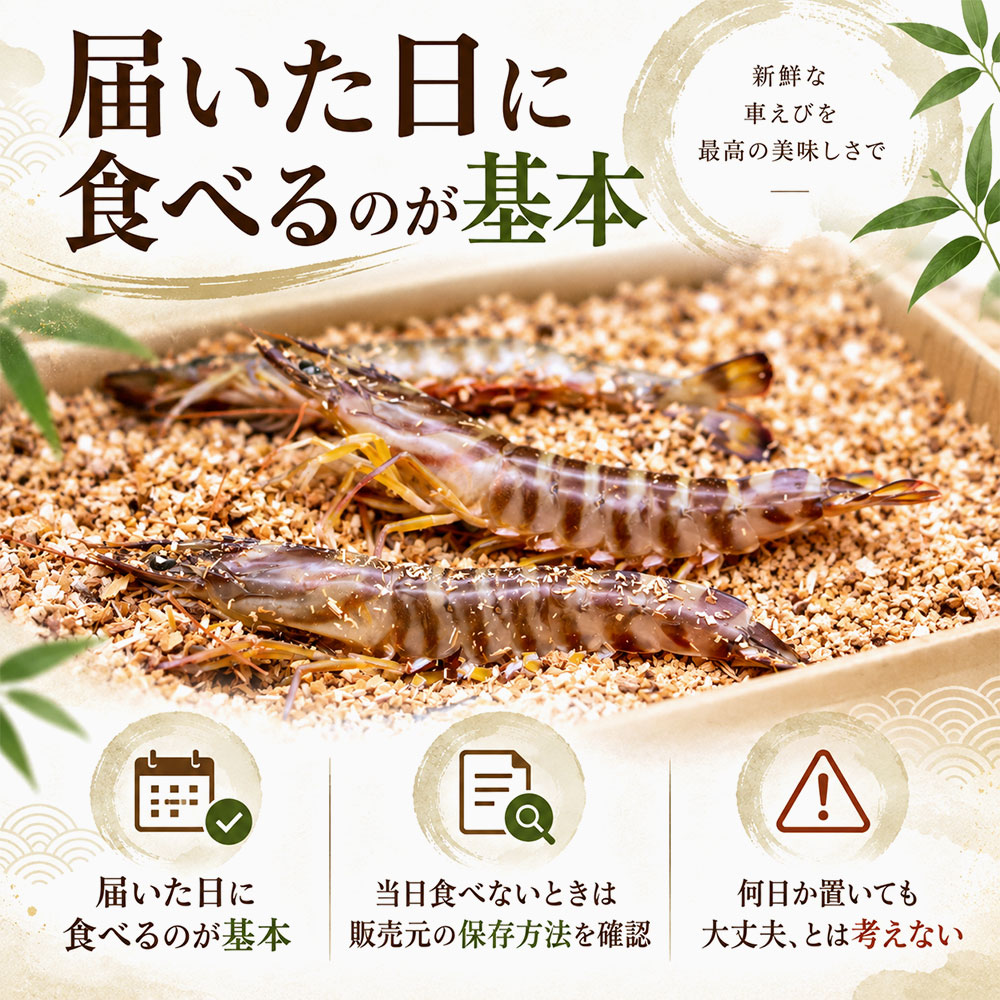 おがくず入りの車海老はどう保存する？当日食べない場合の考え方