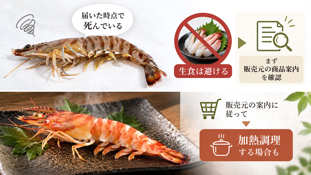 届いたとき死んでいた車海老は食べられる？