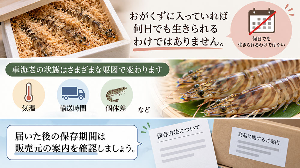 おがくずに入っていれば何日でも生きられるという意味ではありません。