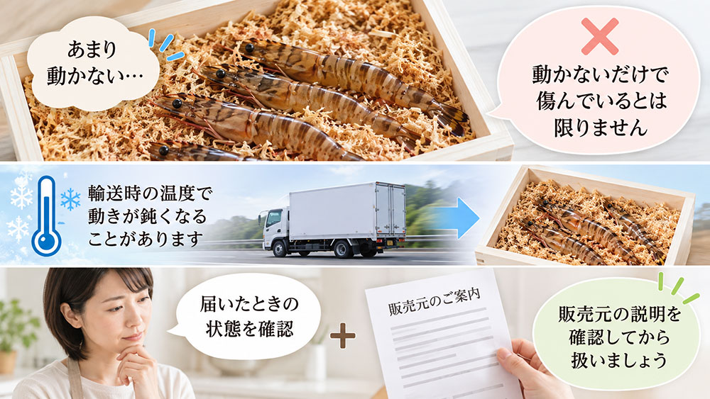 輸送時の温度によって動きが鈍くなっている場合もある