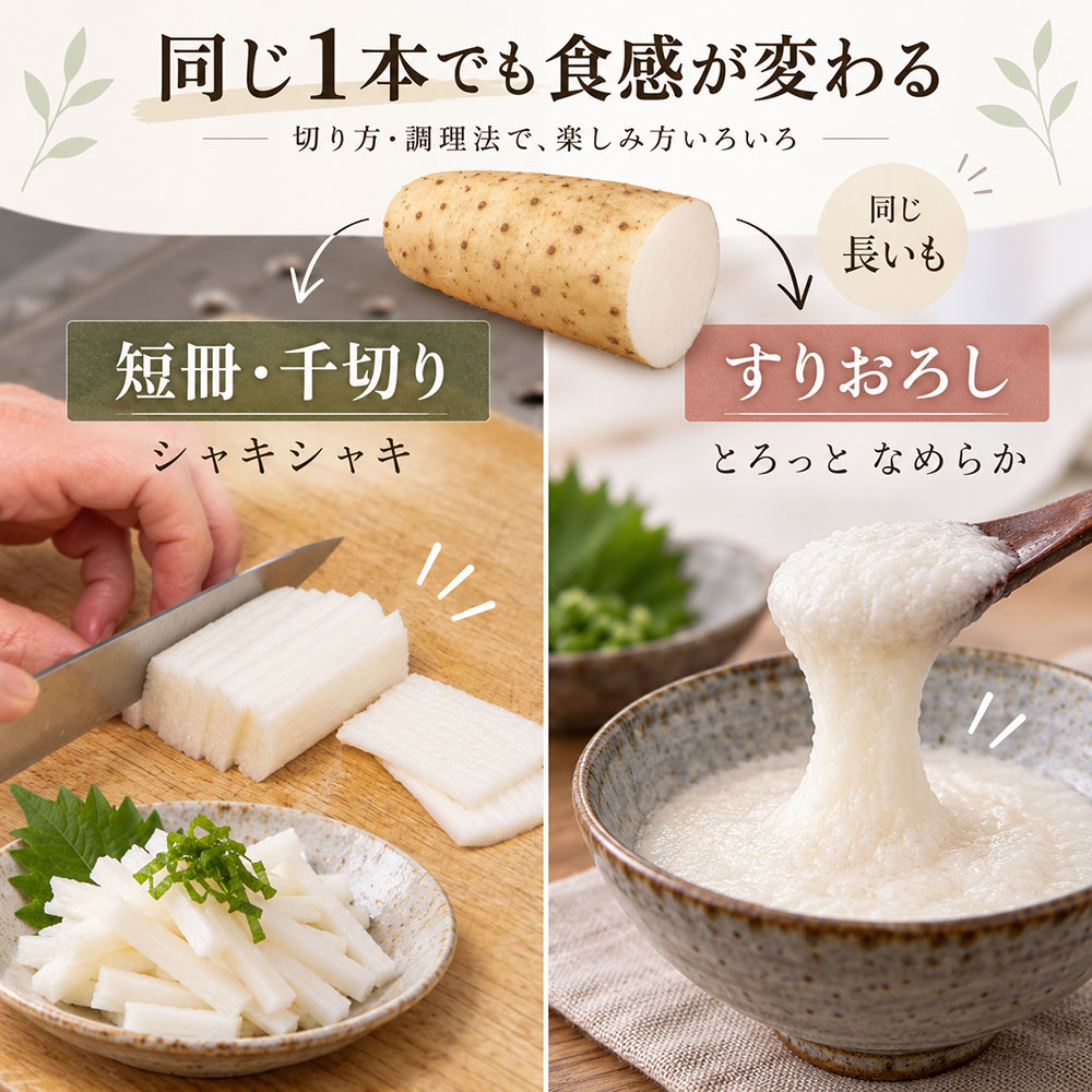 切り方ひとつで別の食感|長芋を生でおいしく食べる方法