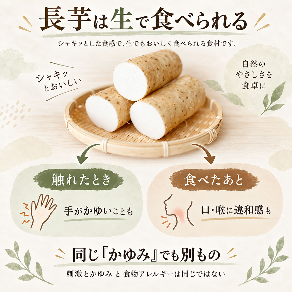生の長芋で気をつけたい3つのこと|かゆみ・アレルギー・衛生面
