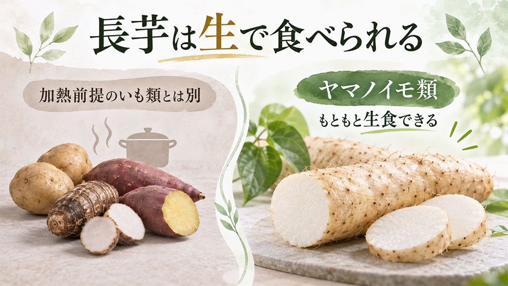 生で食べられるのはなぜ?「消化酵素が理由」は少し違う
