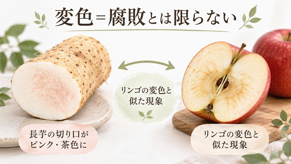 ピンク・茶色の変色=腐敗とは限らない|カビ・異臭・やわらかさも確認