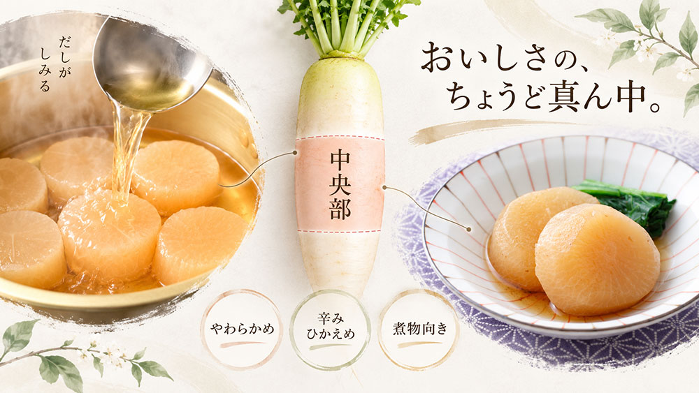 おでん・煮物なら中央部｜やわらかく味わいやすい部分を選ぶ
