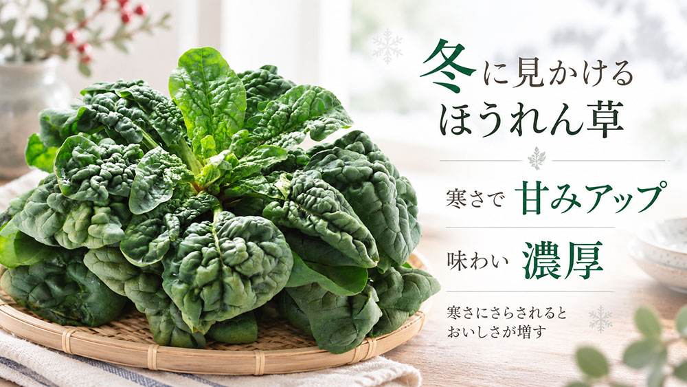 寒締めほうれん草