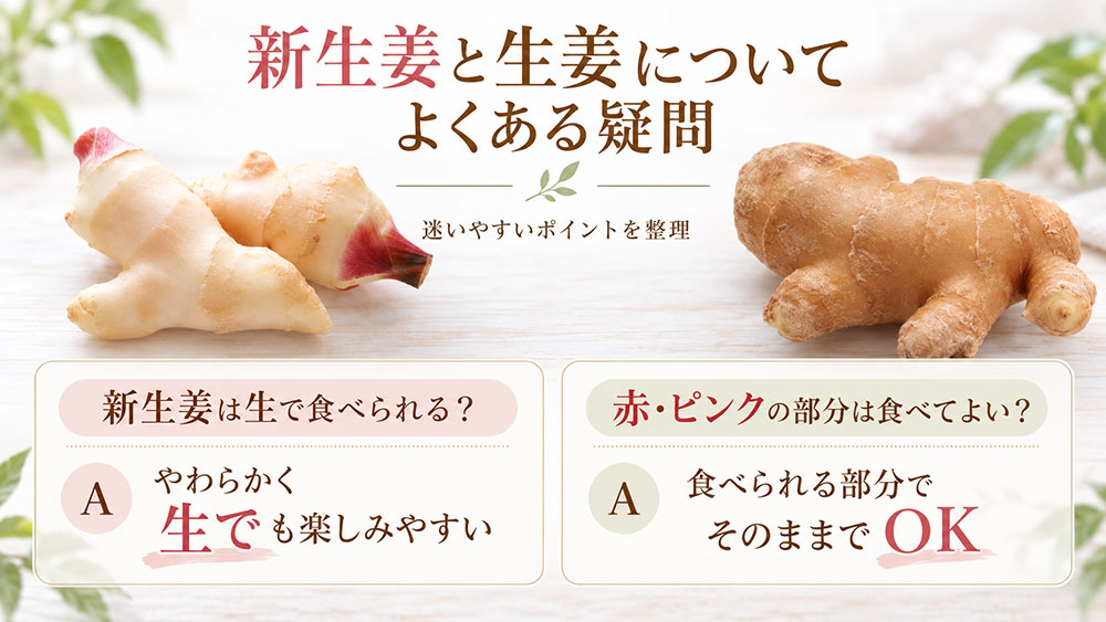 新生姜と生姜についてよくある疑問