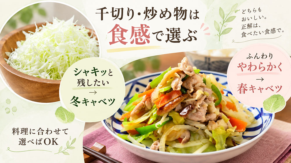 千切り・炒め物はどっち?仕上げたい食感で選ぶ