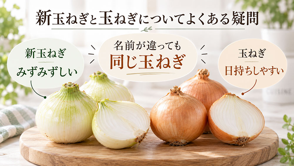 新玉ねぎと玉ねぎについてよくある疑問