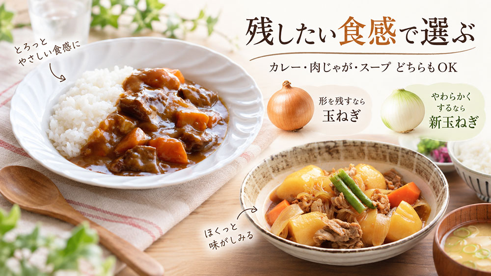 カレー・肉じゃが・スープはどっち？｜残したい食感で選ぶ