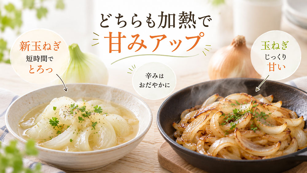 加熱するとどう変わる？｜新玉ねぎはとろっと、玉ねぎはじっくり甘く