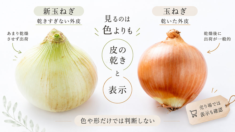 見分けるなら「皮の乾き」と表示をチェック｜色や形だけで決めない