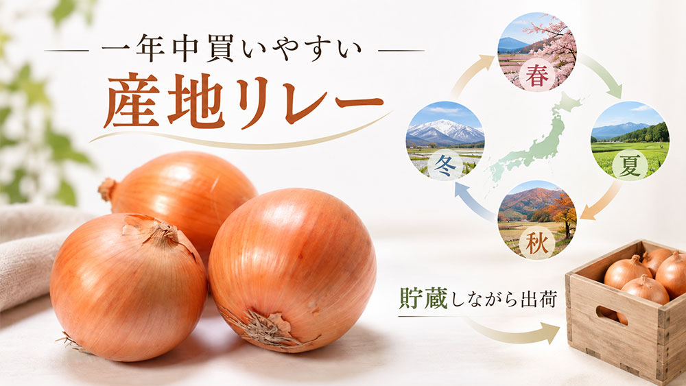 普通の玉ねぎが一年中買えるのは産地と貯蔵のおかげ