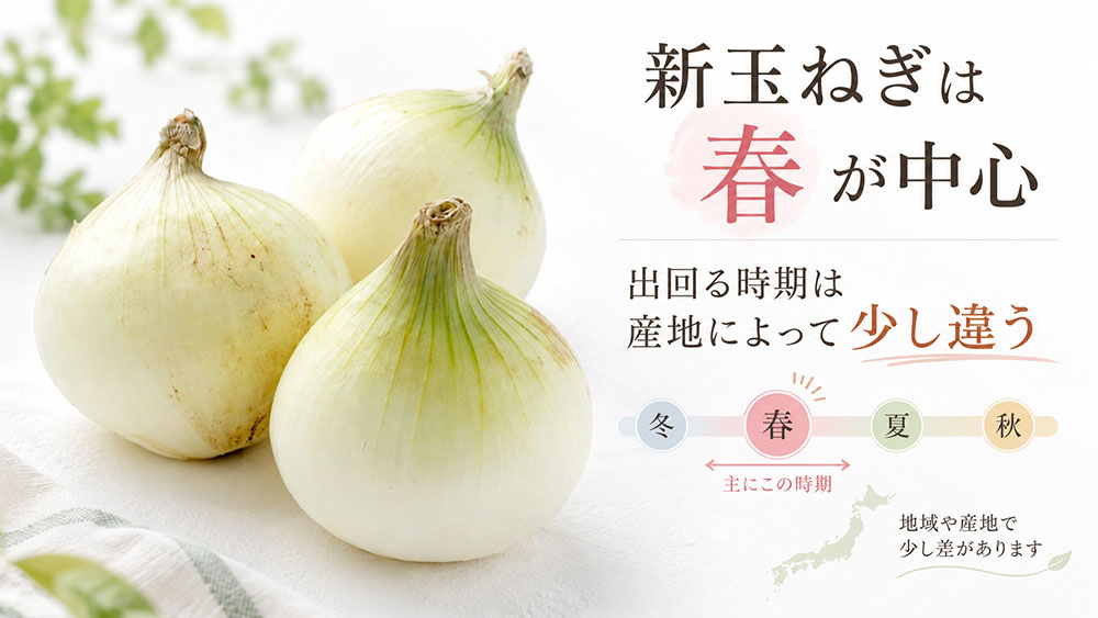 新玉ねぎは春が中心｜出回る時期は産地によって少し違う