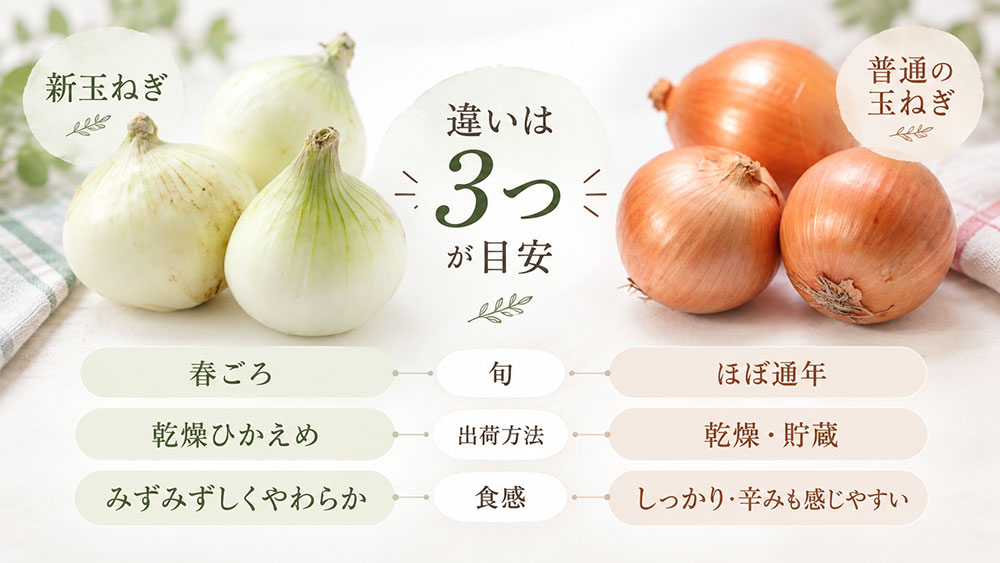 まず覚えたい違いは「旬・出荷方法・食感」の3つ